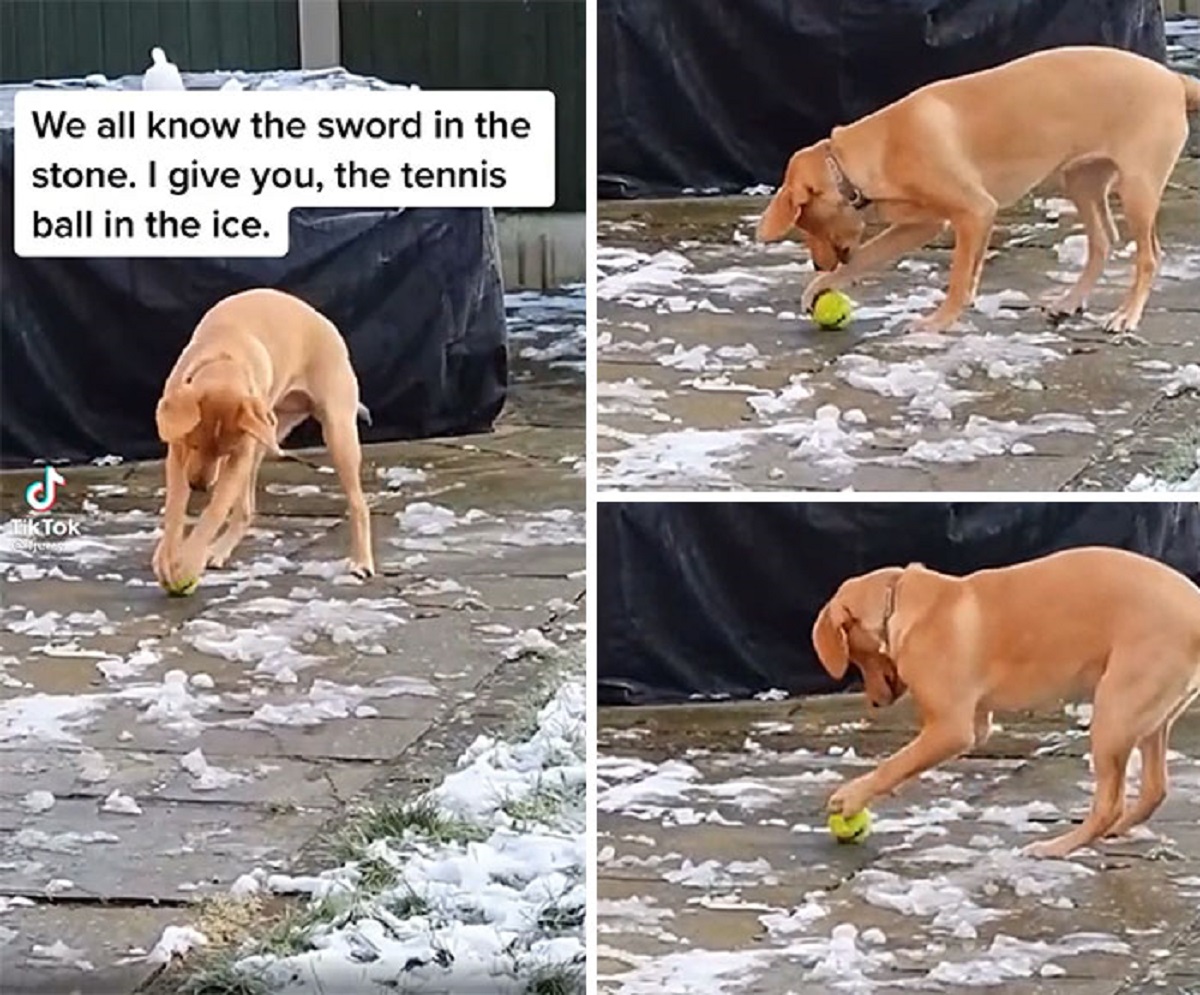 Ball In The Ice