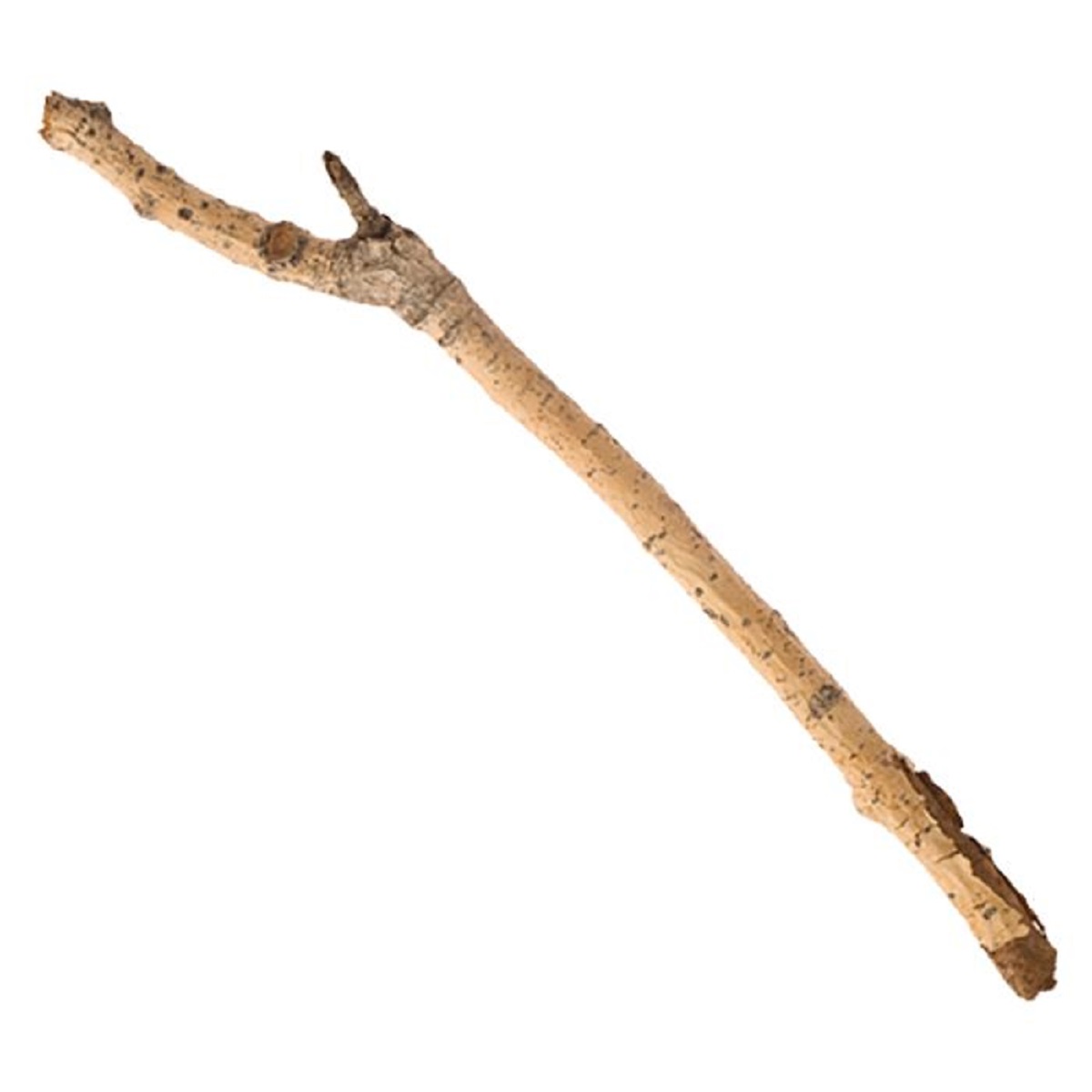 that the stick -- a small tree branch -- was inducted into the (U.S.) National Toy Hall of Fame in 2008. Organizers called it one of the world's oldest toys and said sticks "promote free play -- the freedom to invent and discover."