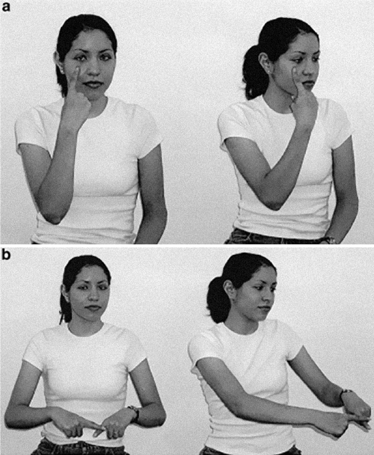 Nicaraguan Sign Language is a sign language that spontaneously developed among deaf children in Nicaragua in the 1980s. It is of particular interest to linguists because it is believed to be to be an example of the birth of a new language, unrelated to any other.