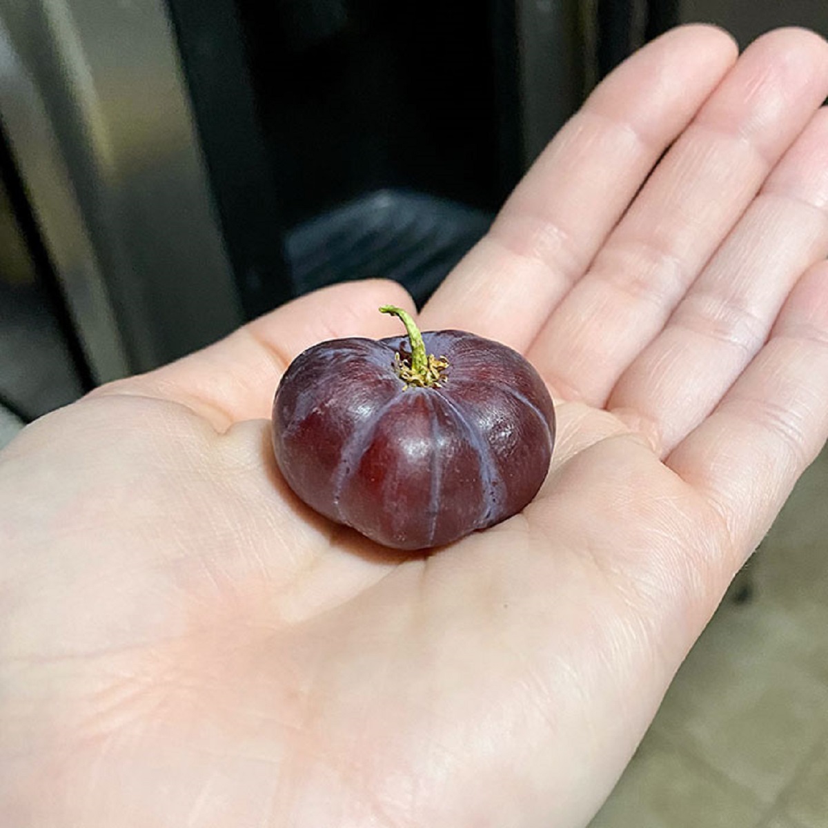 This Grape That Looks Like A Pumpkin