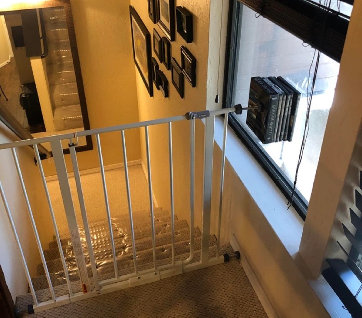 “My landlord assured me they have a ‘very safe’ baby gate.”
