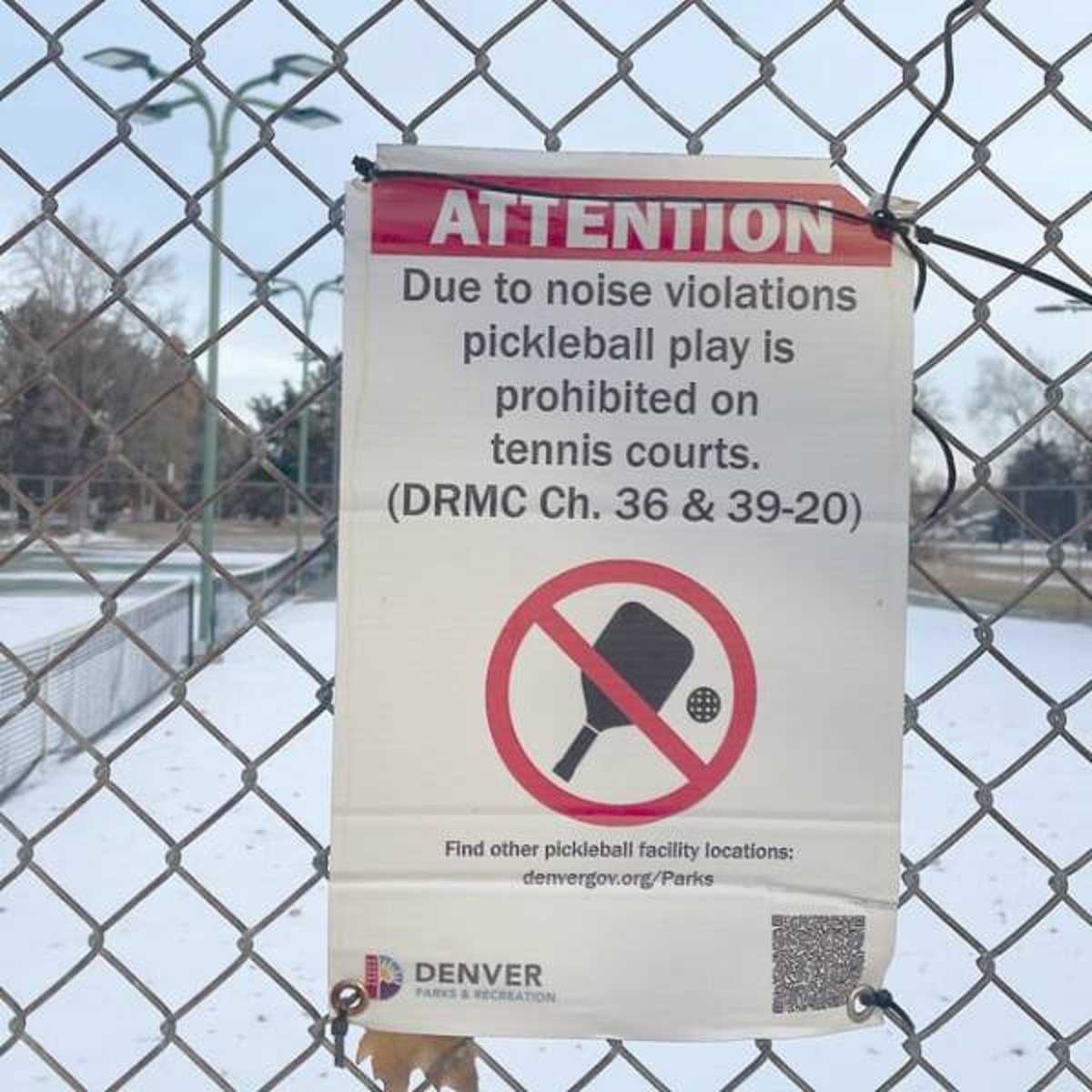 "Pickleball is too noisy for this tennis court"