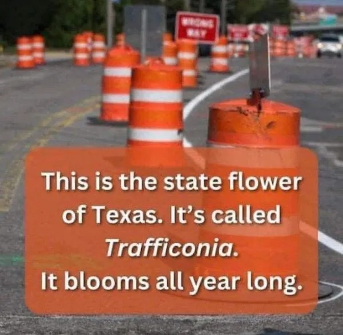 50 Funny Memes Making Fun of All 50 States
