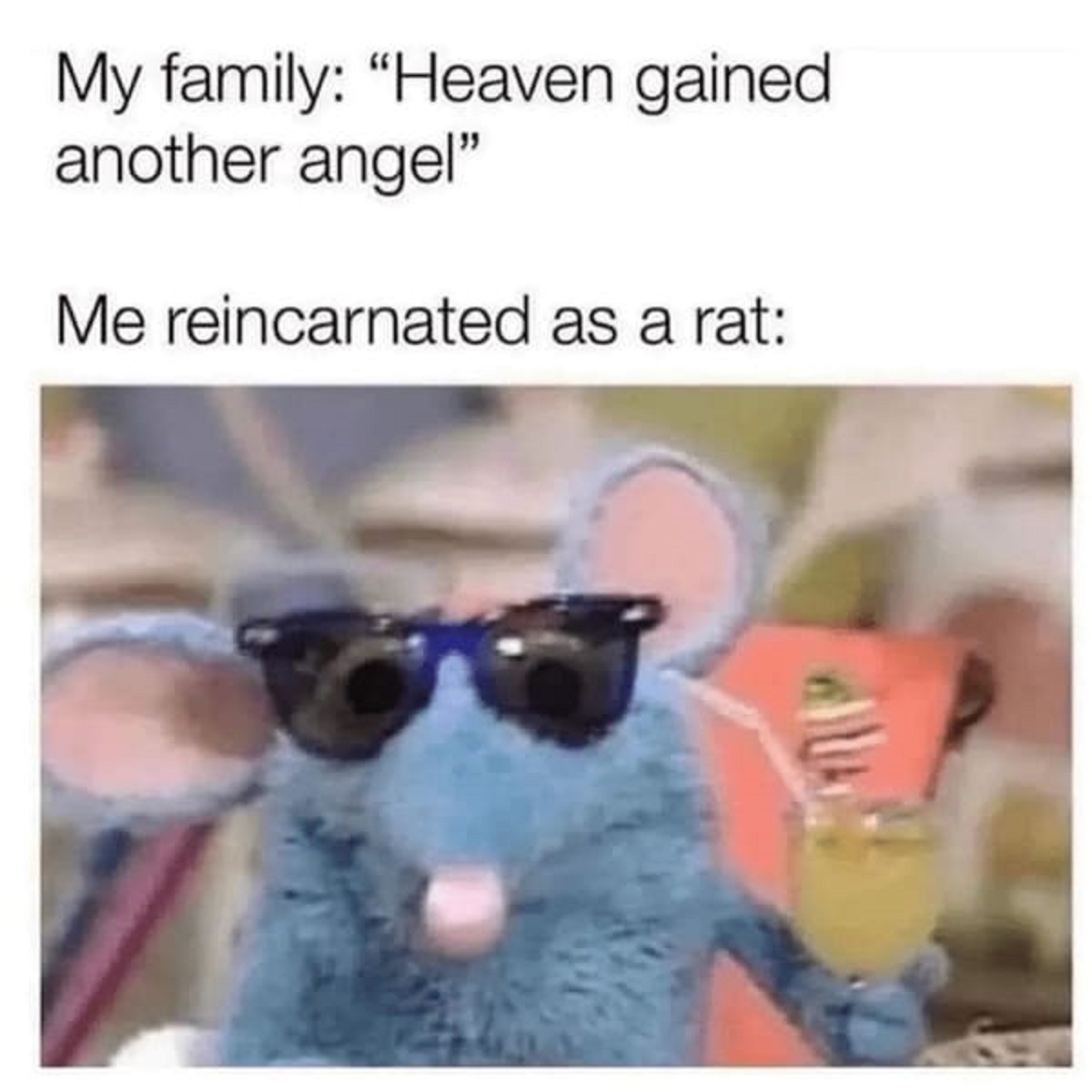me reincarnated as a rat - My family "Heaven gained another angel" Me reincarnated as a rat