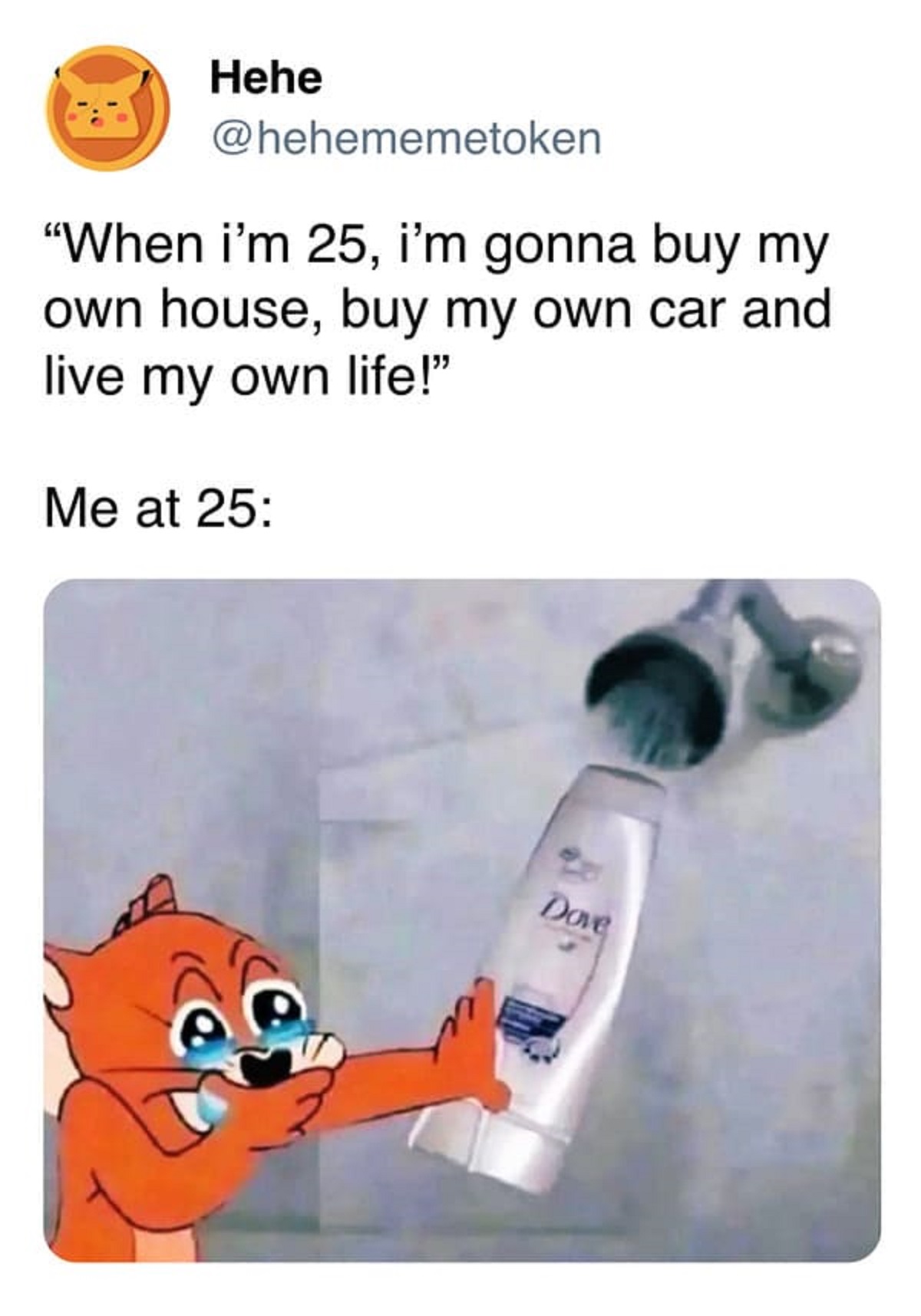 cartoon - Hehe "When i'm 25, i'm gonna buy my own house, buy my own car and live my own life!" Me at 25 Dove