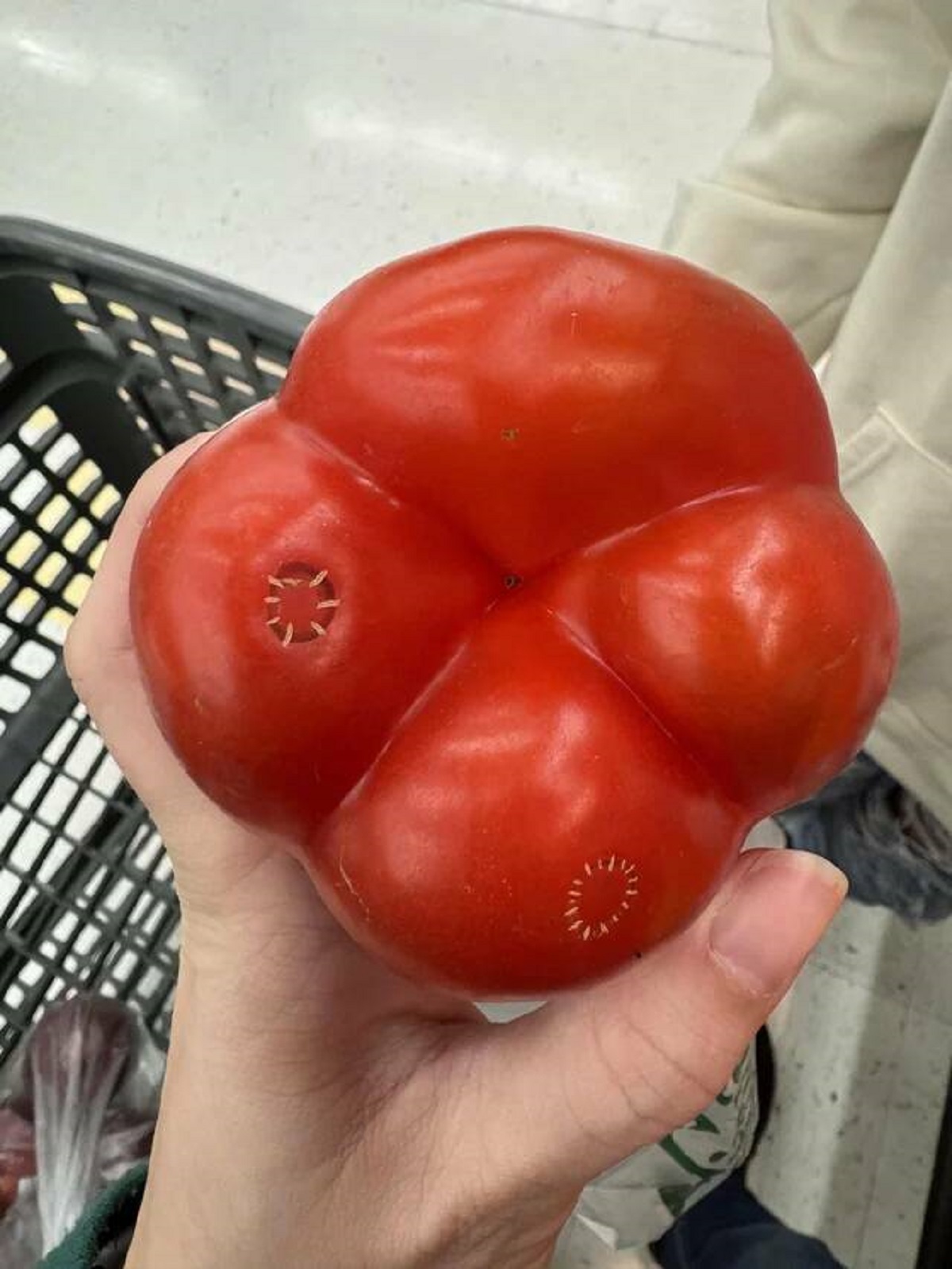 "This red pepper at the grocery store looks like it had stitches in two places"