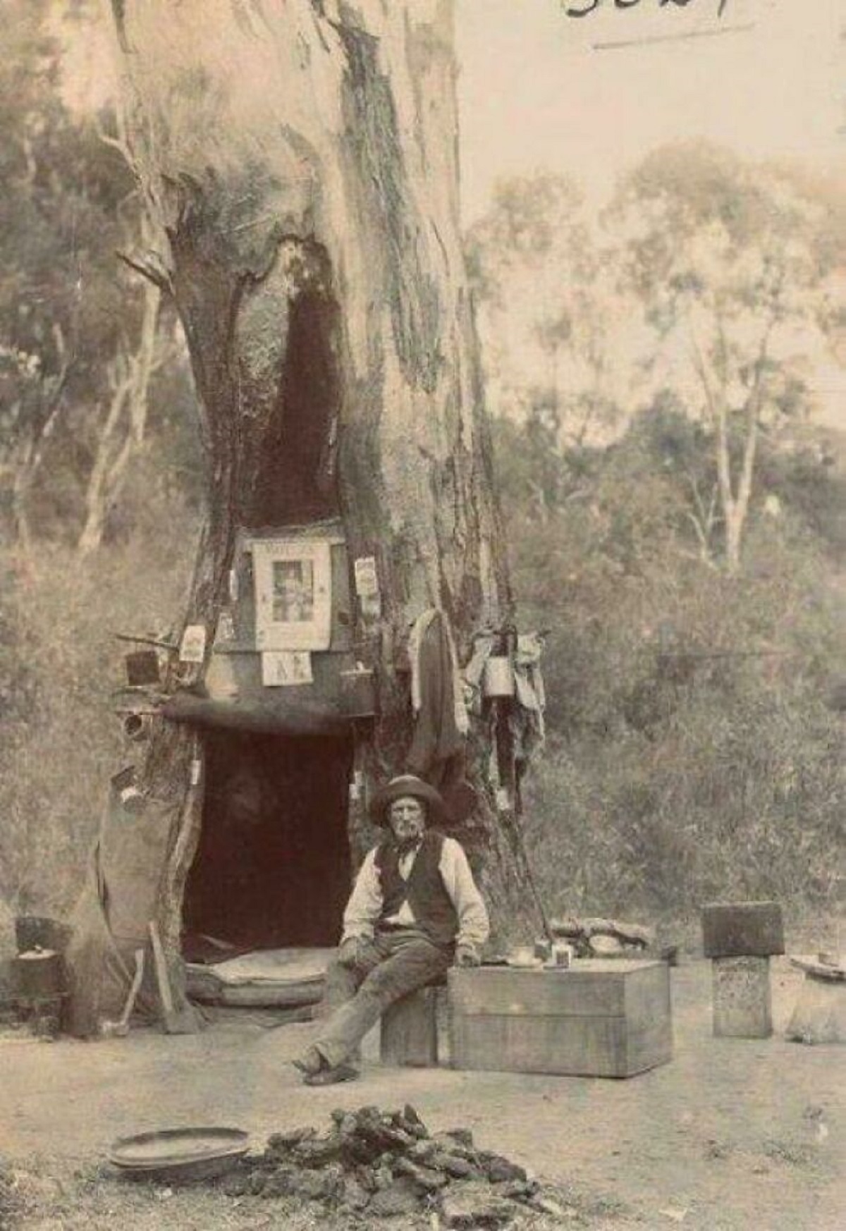 A Swagman Using A Hollowed Gum Tree As A Campsite, 1880. A Swagman Was A Transient Labourer Who Travelled By Foot From Farm To Farm Carrying His Belongings In A Swag (Bedroll). The Term Originated In Australia In The 19th-Century And Was Later Used In New Zealand