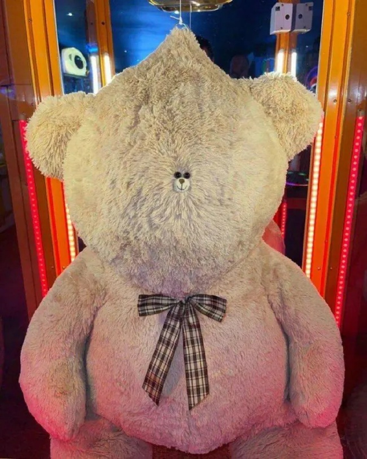 teddy bear - 70