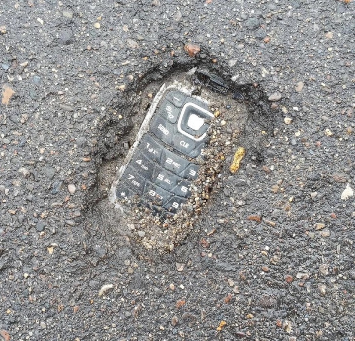 “Found a fossil on a parking lot today.”