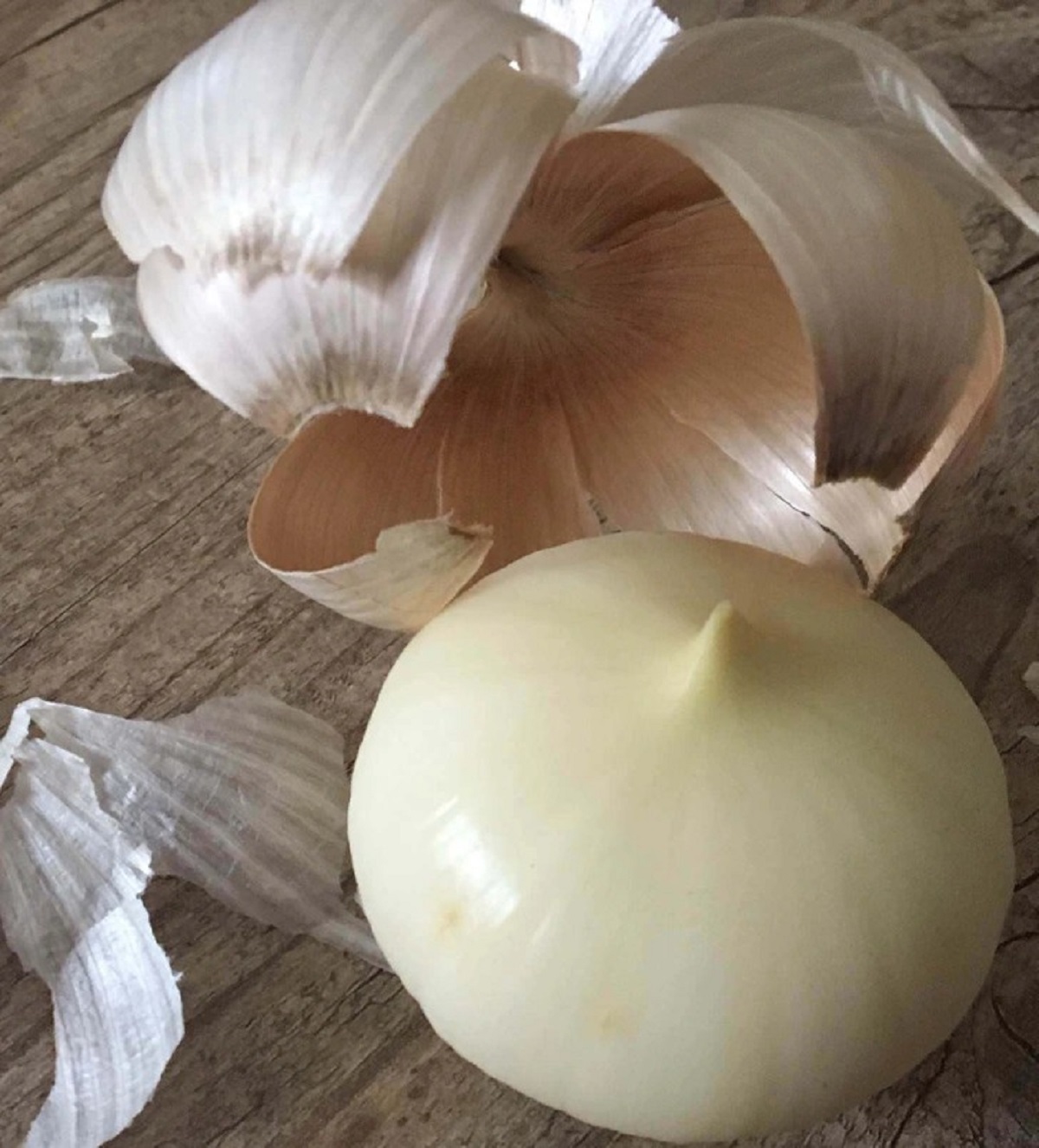 “This garlic came out as 1 piece instead of in cloves.”