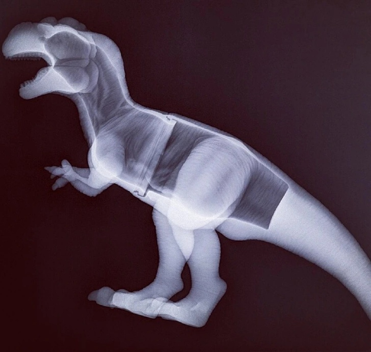 “My wife took our cat to the vet, and my son told the vet his toy dinosaur was feeling poorly, so the vet gave it an x-ray.”