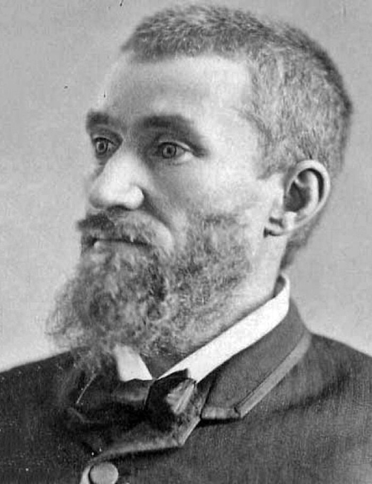 That when Charles Guiteau bought the gun he would use to assassinate President Garfield, he chose one with a more expensive ivory handle, thinking it would look better in a museum. Though the gun was given to the Smithsonian, it has since been lost.