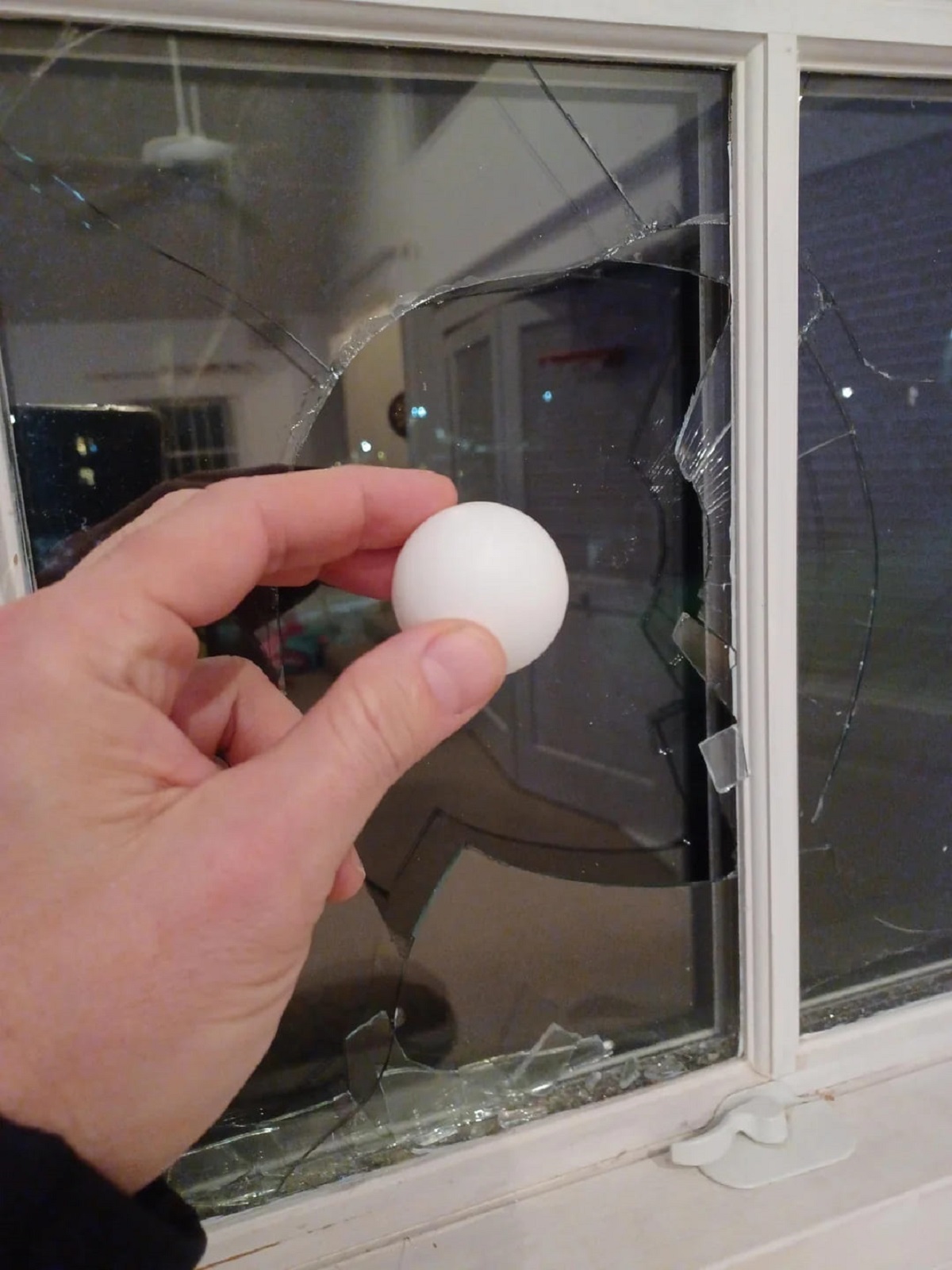 10yr old son broke a double pane window with a ping pong shot.