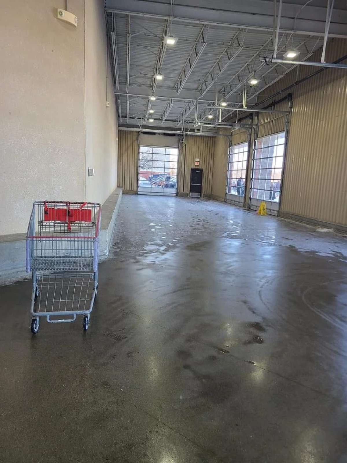 The last cart on the way into Costco on a Saturday. Do I take it and go in…or do I turn and run?