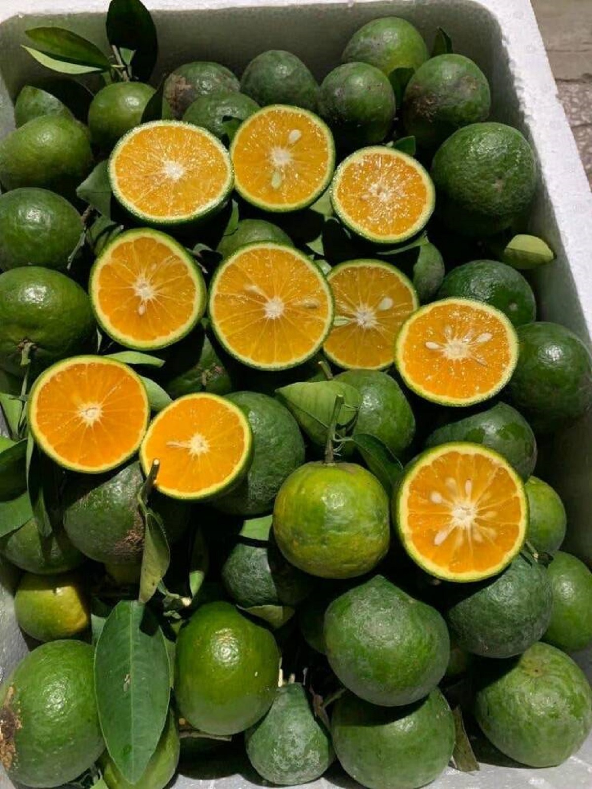 Oranges can have green skin in certain climates. Yet, for some reason, they are not called "greens":