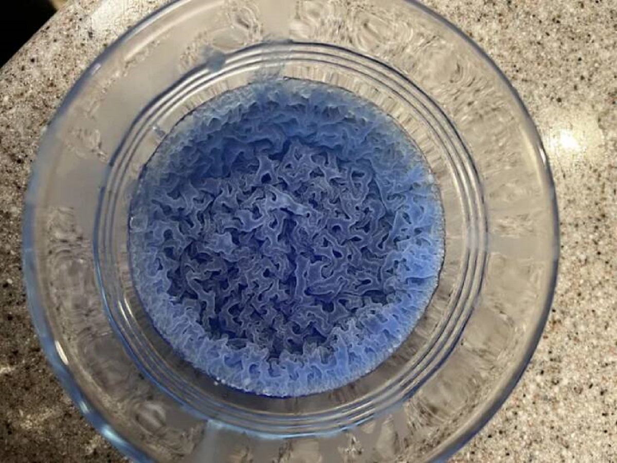 "I left some dish soap out overnight and it dried in this pattern"