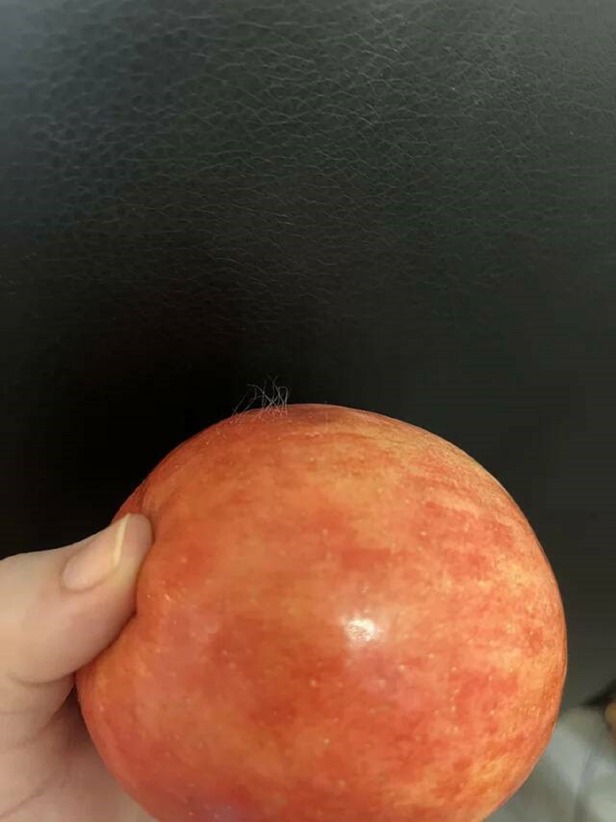 "My apple is hairy"