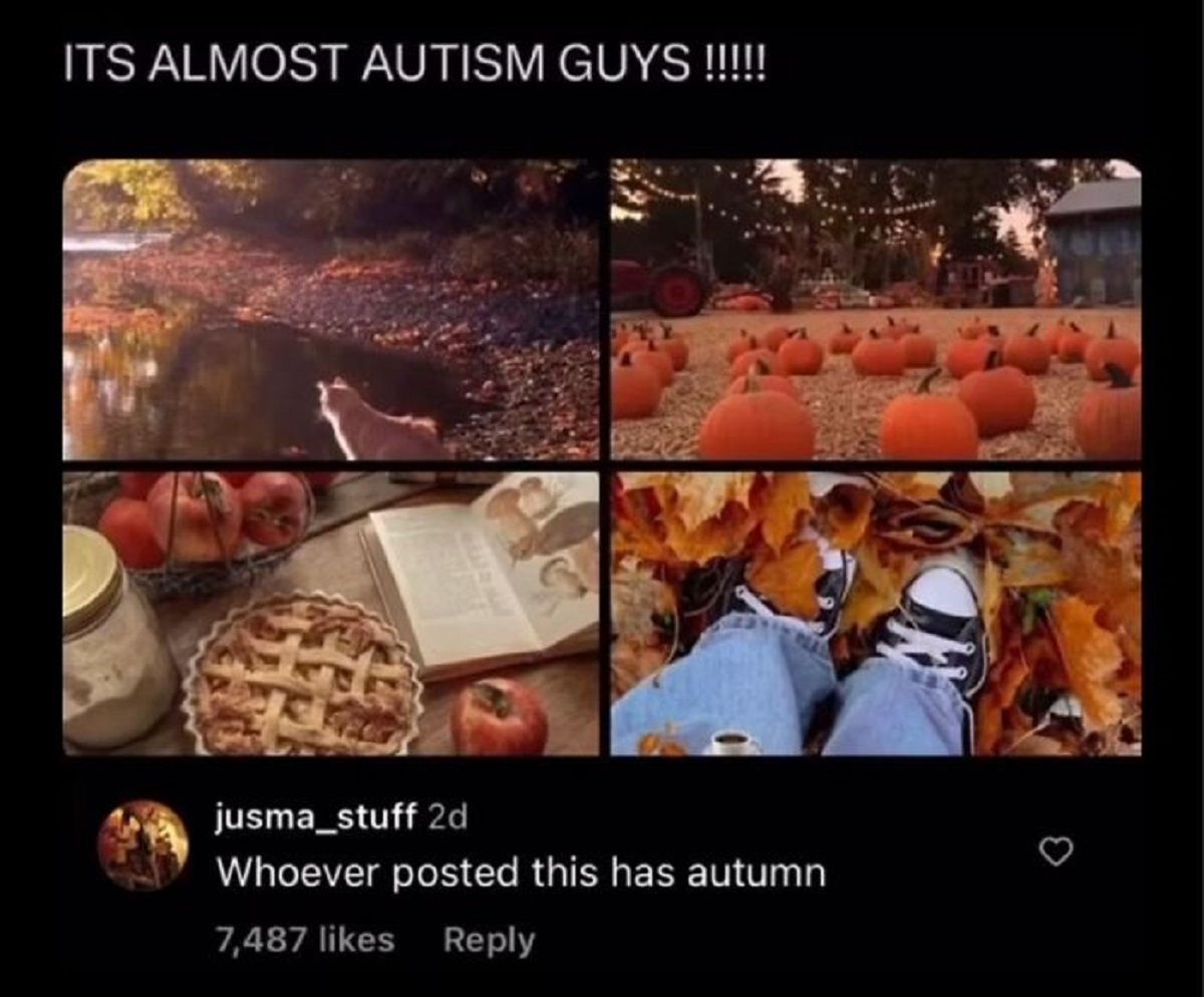 video - Its Almost Autism Guys!!!!!! jusma_stuff 2d Whoever posted this has autumn 7,487