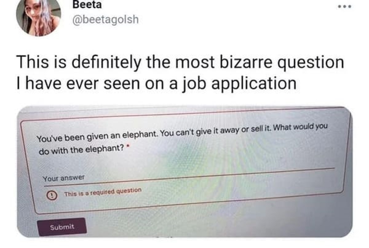 Beeta This is definitely the most bizarre question I have ever seen on a job application You've been given an elephant. You can't give it away or sell it. What would you do with the elephant? Your answer This is a required question Submit