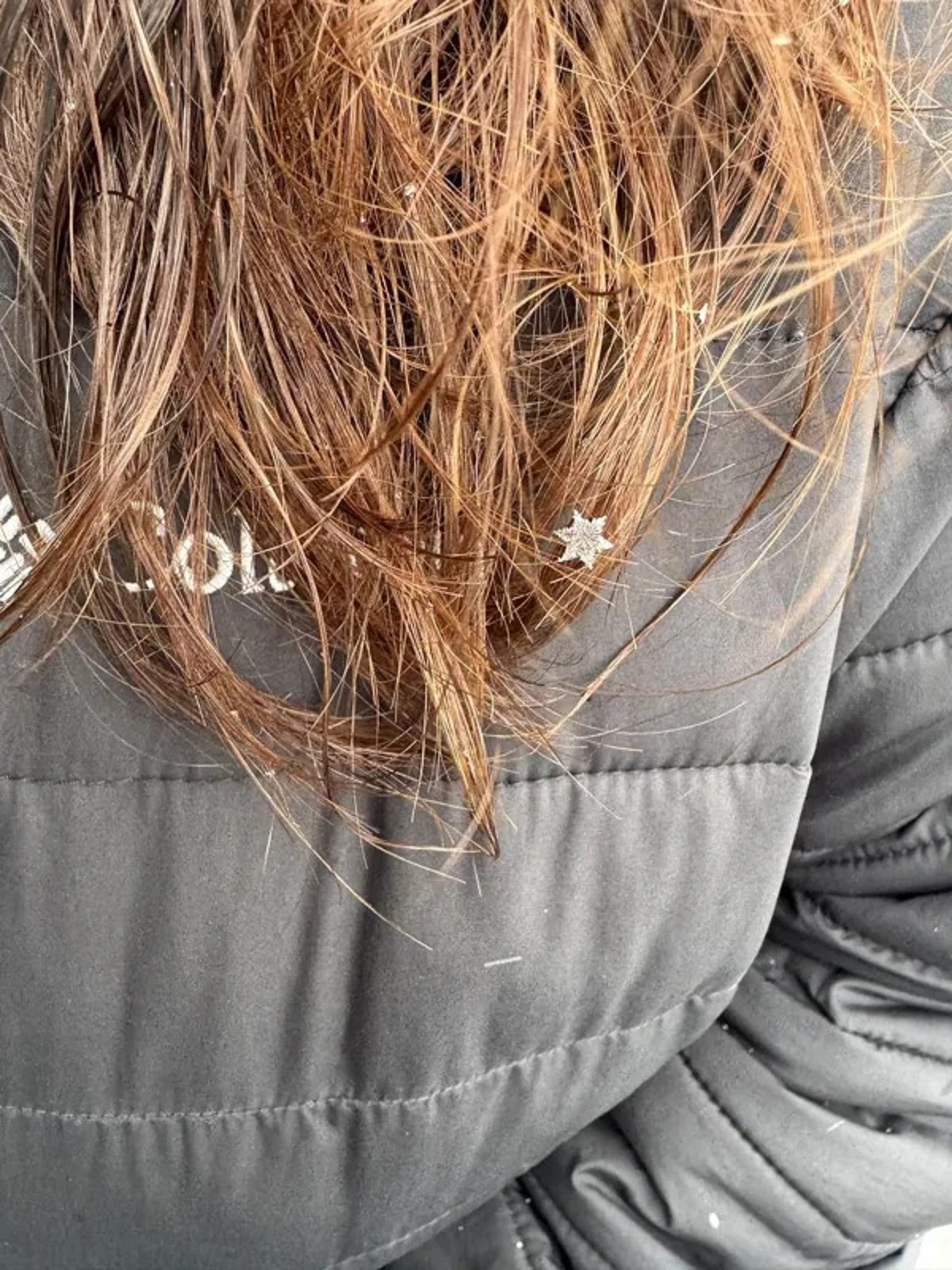 This perfect snowflake that landed on my wife’s hair this morning.