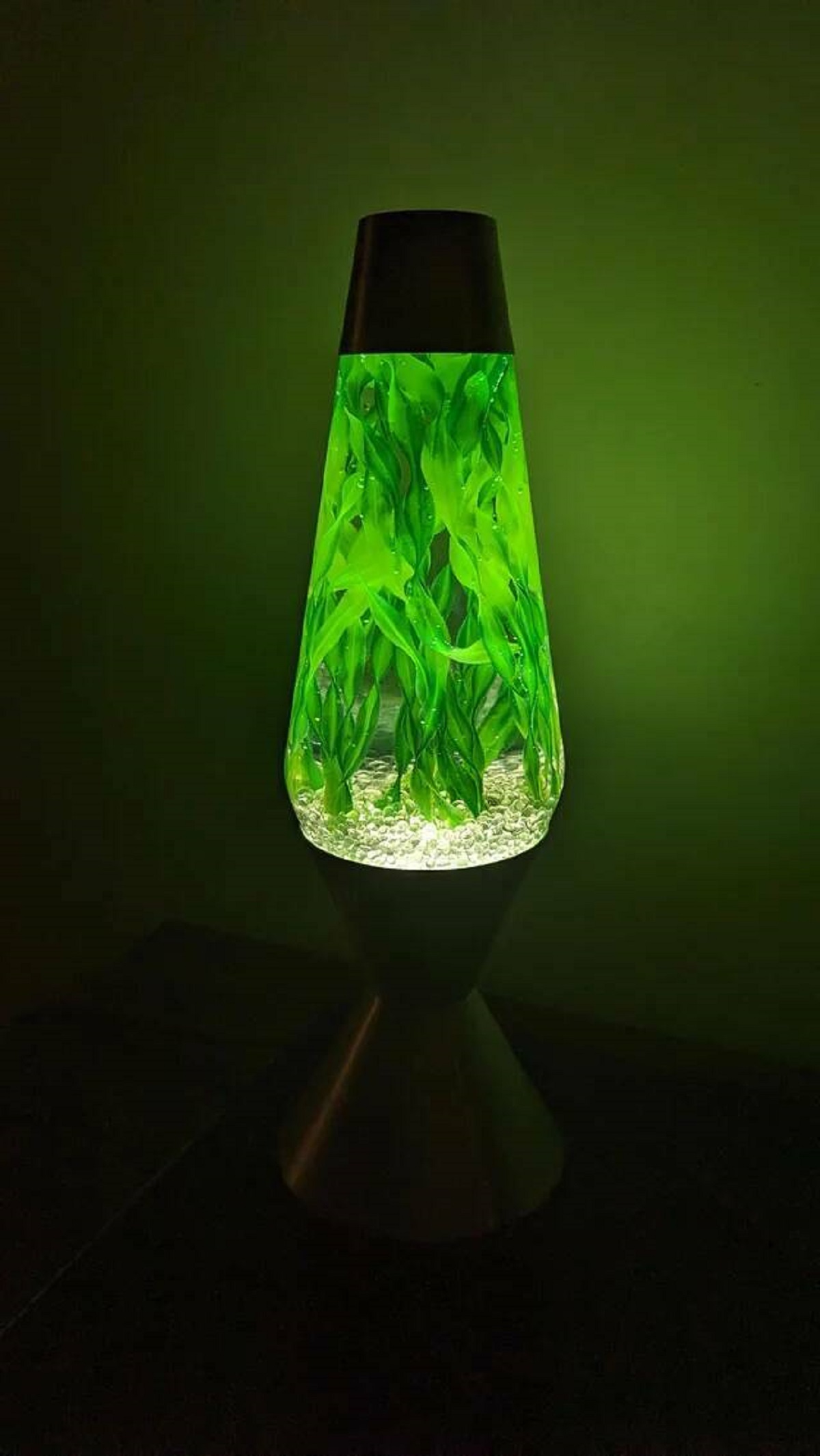 "My upcylced lava lamp with aquarium plants"