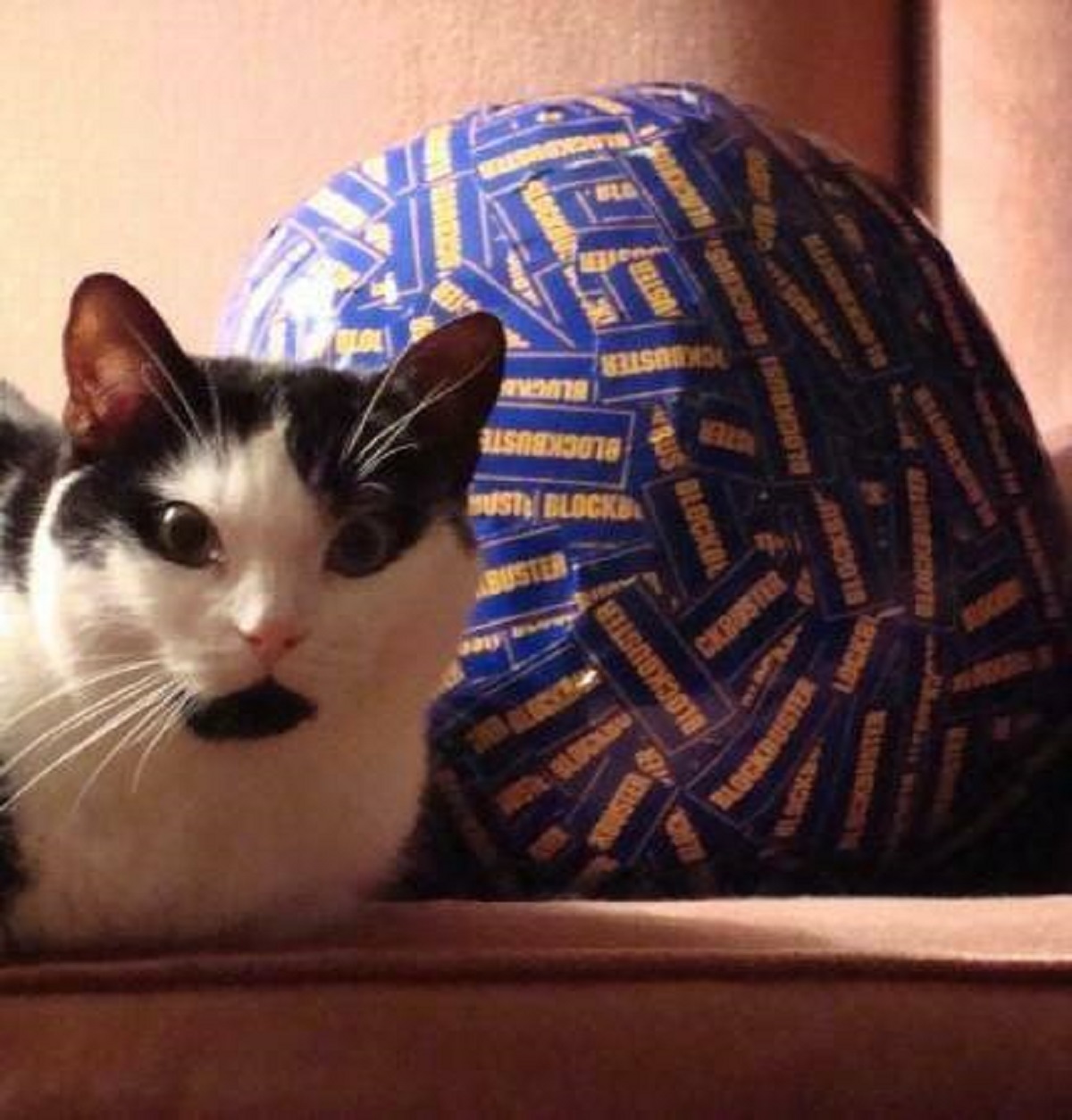 "The giant ball made entirely of stickers from Blockbuster when I worked there over a decade ago."