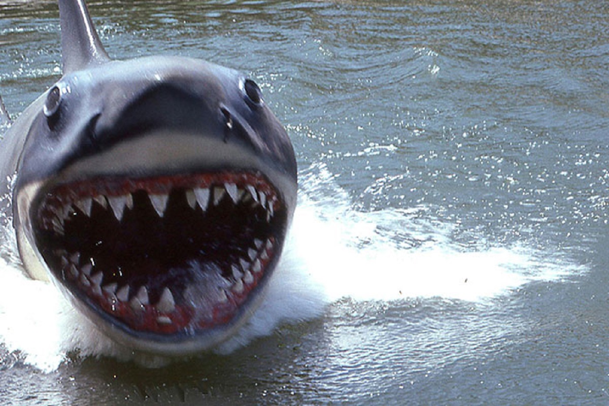 On the set of Jaws, Spielberg invited George Lucas to see the mechanical shark still in development. Lucas playfully stuck his head in its mouth, and Spielberg clamped it shut, leaving Lucas stuck. They snuck out of the workshop thinking they broke the contraption after eventually freeing him.