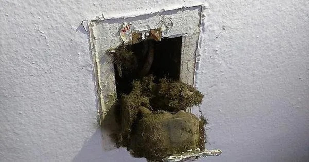 Landlord ignored me for two months about my sparking outlet, got worried about a fire and did it myself and I find this.