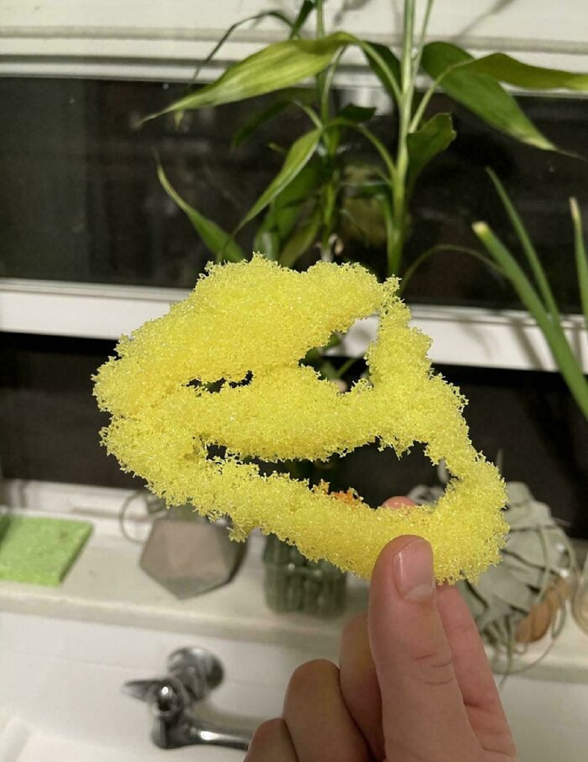 My Scrub Daddy