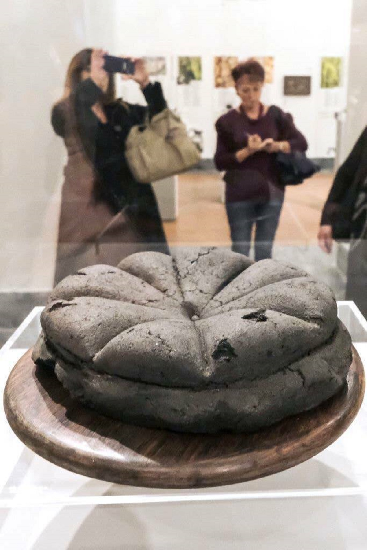 This loaf of bread was baked at a bakery in Pompeii the morning Mount Vesuvius erupted and buried the city in volcanic ash. That was all the way back in 79 CE, so almost 2,000 years ago!