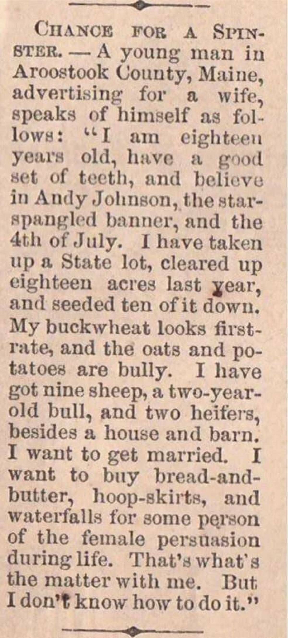 This is a surviving newspaper ad from 1865, posted by a young man looking for a wife. Some of his selling points included having "a good set of teeth" and "a two-year-old bull."