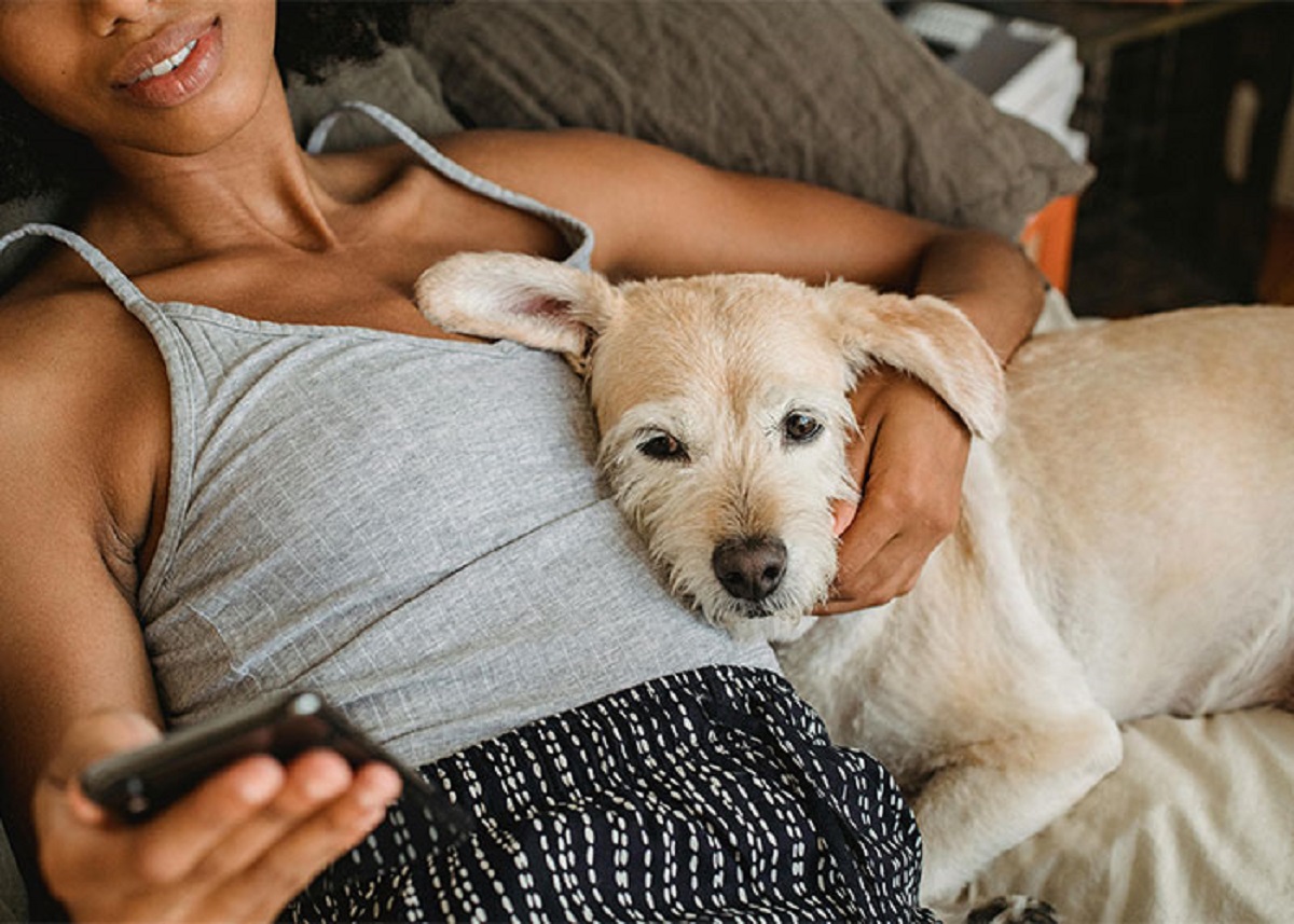 Our dog knew my wife was pregnant before she did. Normally she was a sweet and lazy lovable dumb*ss who would hang out with whoever wasn't moving. (The dog, not the wife) Then one day, she decided she wasn't going to leave my wife's side. She wasn't aggressive, but she wasn't going anywhere either. Followed her everywhere for a few weeks, then spousal unit started getting sick, and went to the doctor, and the doctor said "Lets check the obvious"... And now I have an eight year old daughter, and that dog is her constant companion.