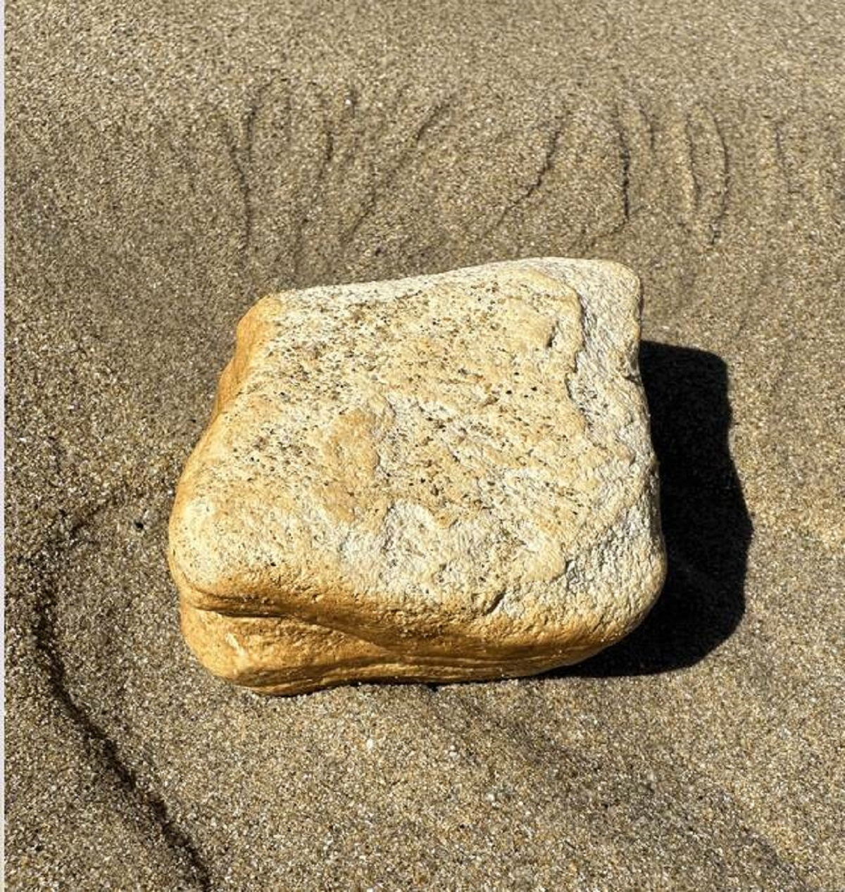 "Today I found a rock at the beach that looked like a sandwich"