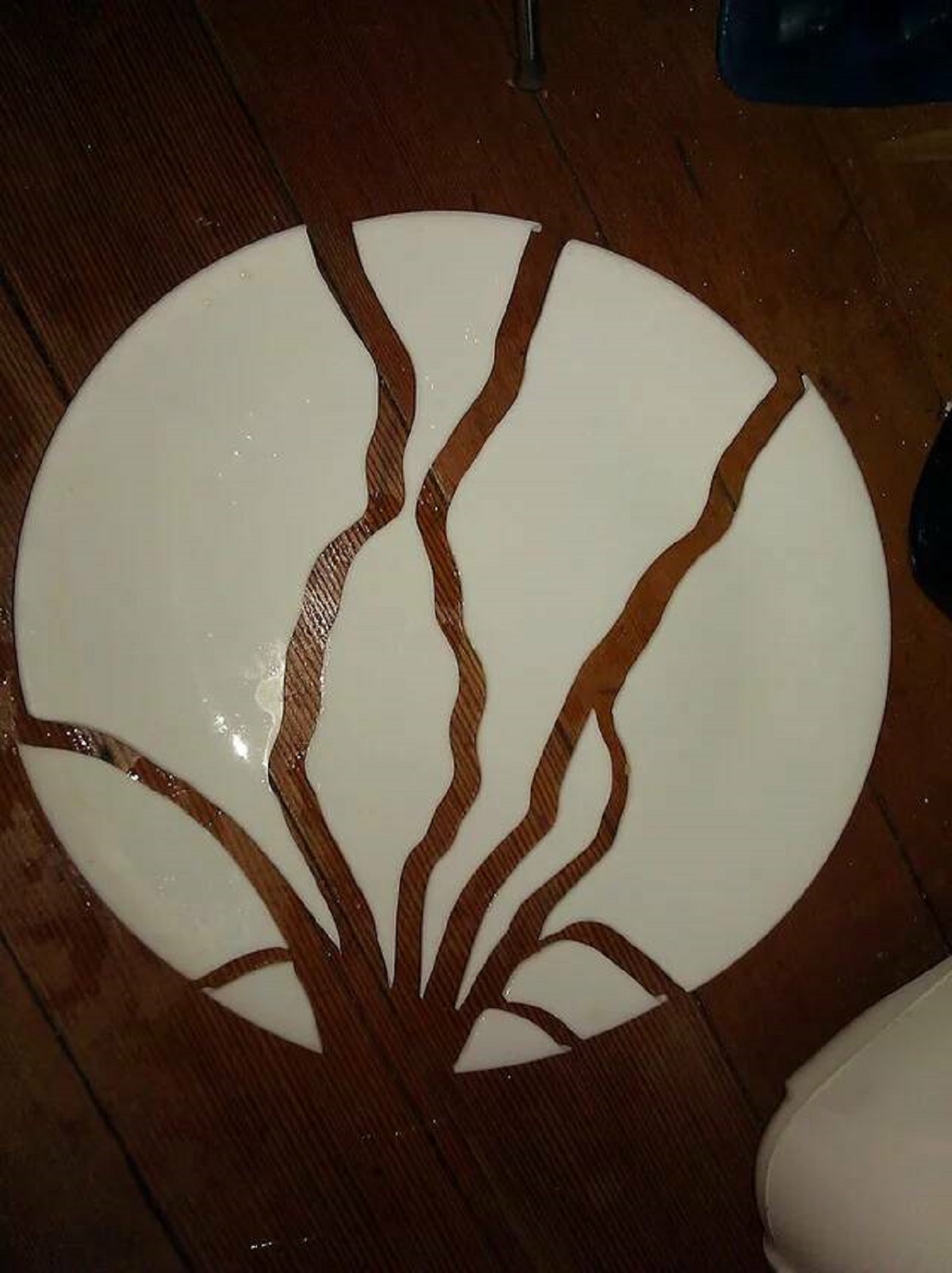 "Dropped my plate in the kitchen, inadvertently made art."