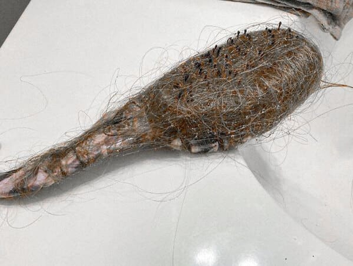 “The Hairbrush My Daughter Leaves Hanging In The Shower”