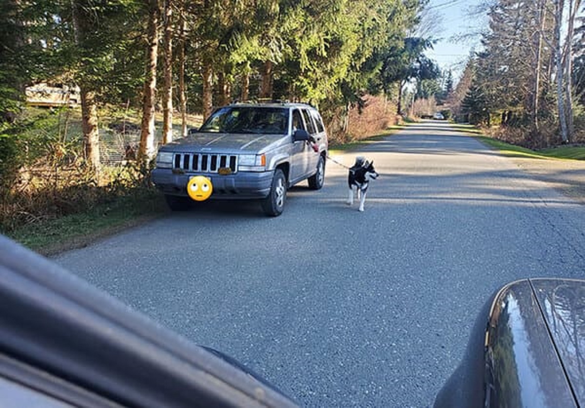 “I Just Caught A Lazy Neighbor ‘Walking Their Dog’ By Car”