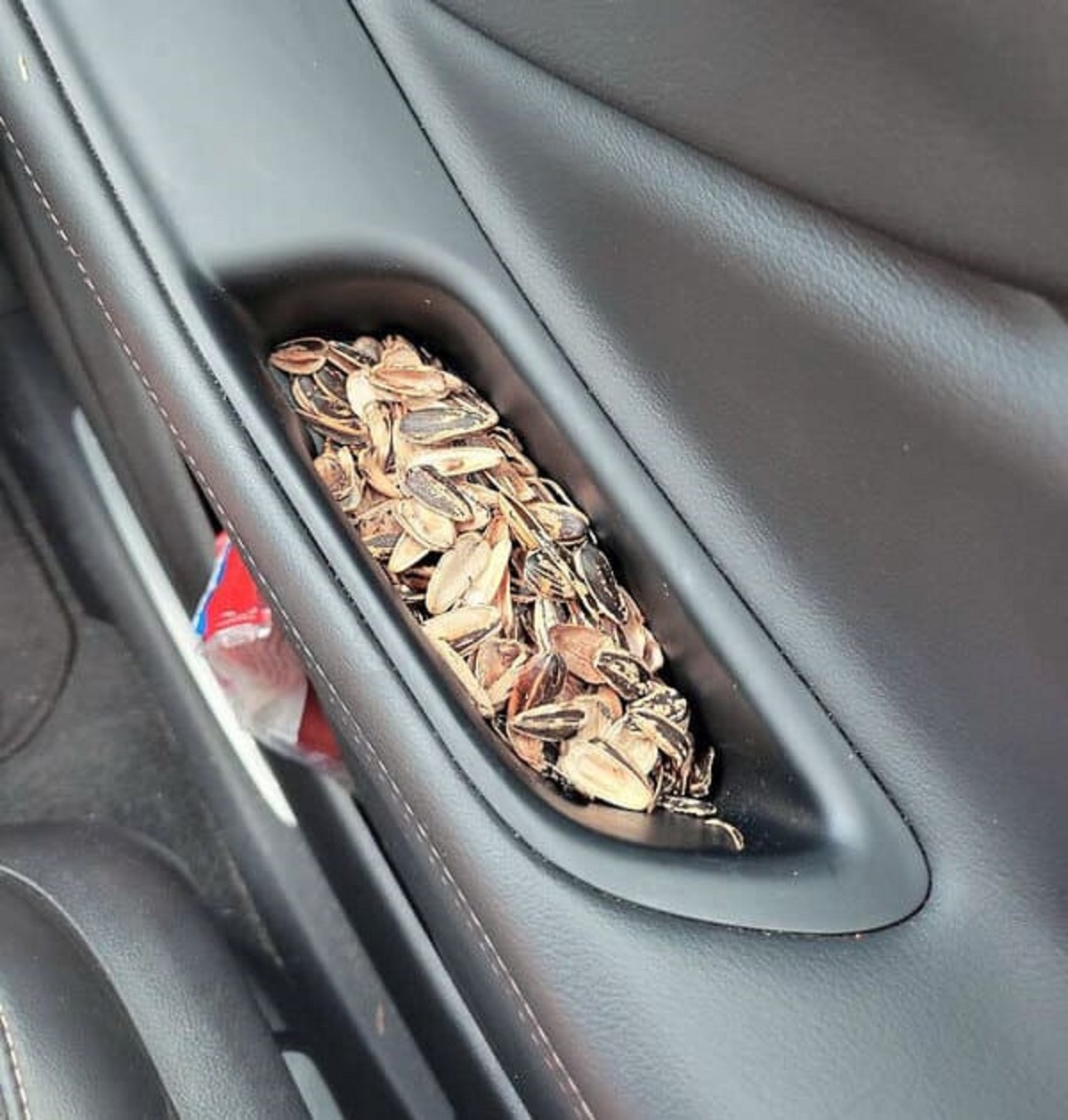 “My Wife Spits Her Seed Shells Into The Door Handle Of Our Car And Leaves It There”