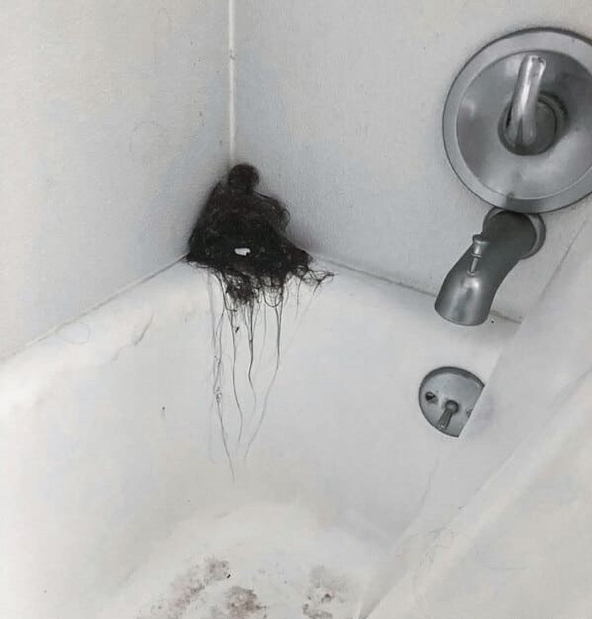 “I Went To A Classmate’s Apartment To Work On A Project. This Mountain Of Hair Will Haunt Me Forever”