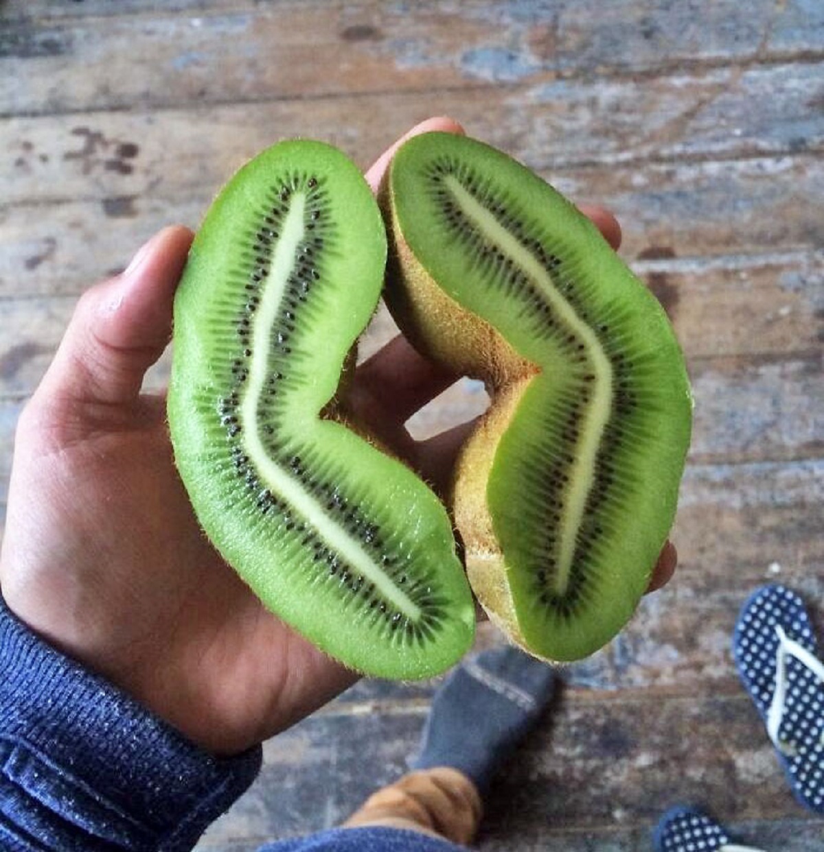 This Long Kiwi