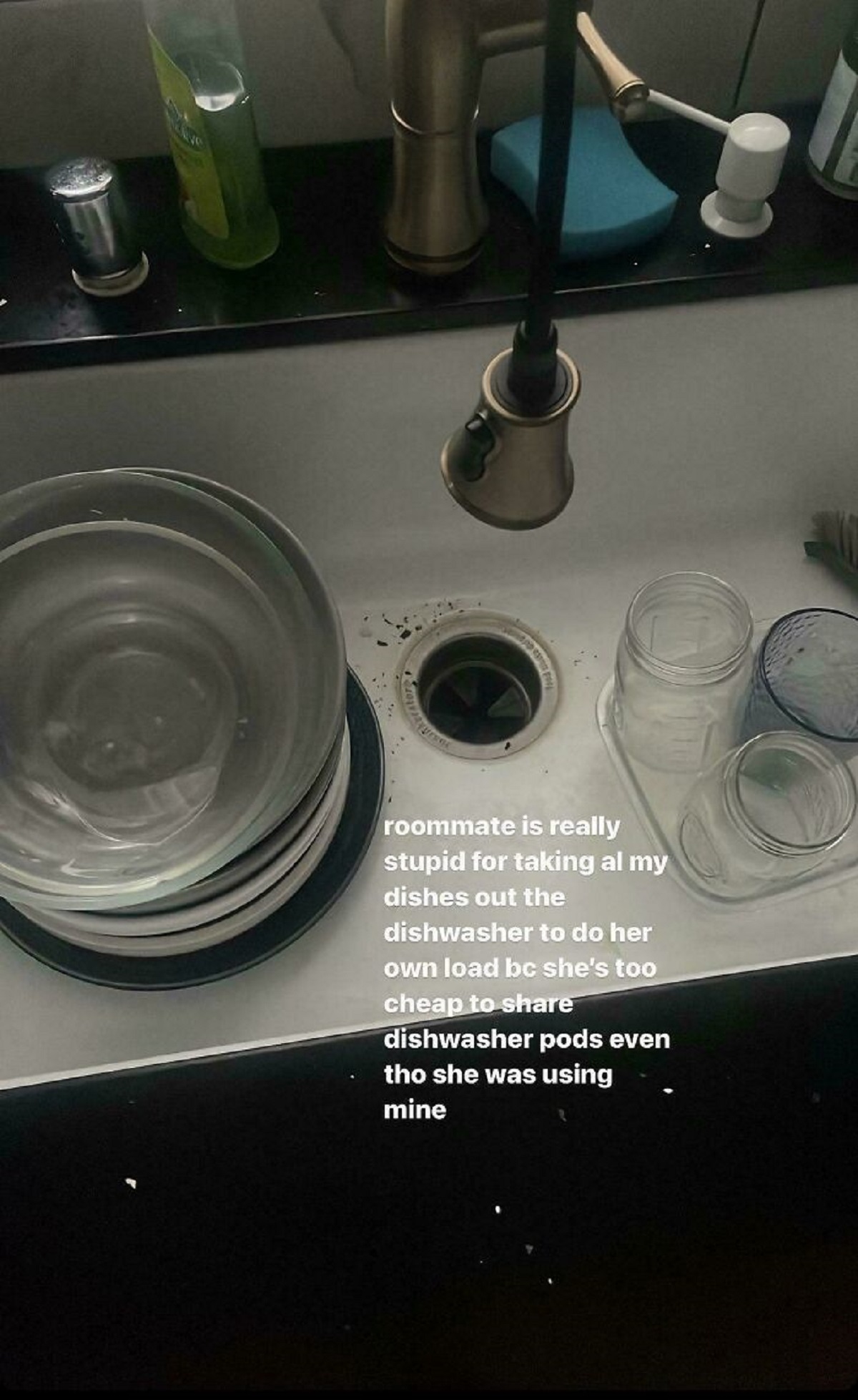 My Roommate Took All Of My Dirty Dishes Out Of The Dishwasher Then Put Her Dishes In The Dishwasher