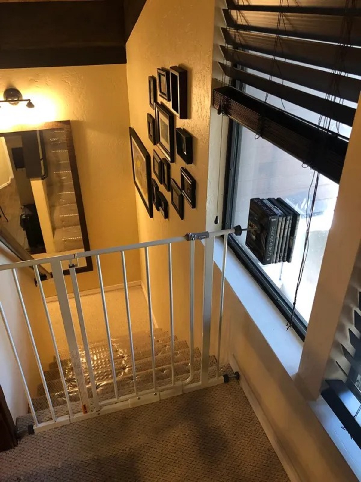 My Airbnb assured me they have a “very safe” baby gate.