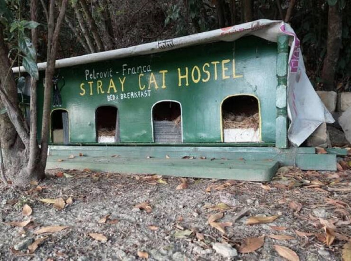 This stray cat hostel in Slovenia is so, so cute, and gives cats a place to hide out from the elements.