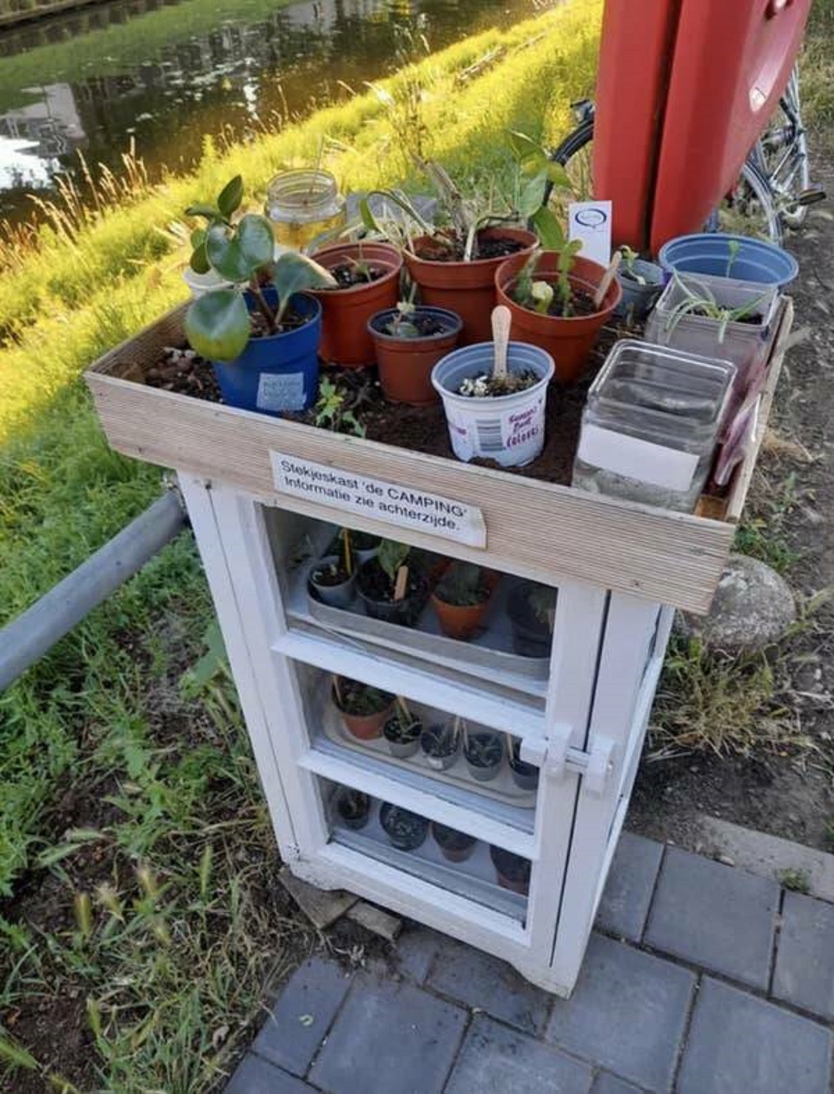 Apparently there are "plant libraries" in the Netherlands where you can get free propagations or trade plants...or drop plants off to go to better homes, if you're like me and can't keep a plant alive if your own life depended on it.