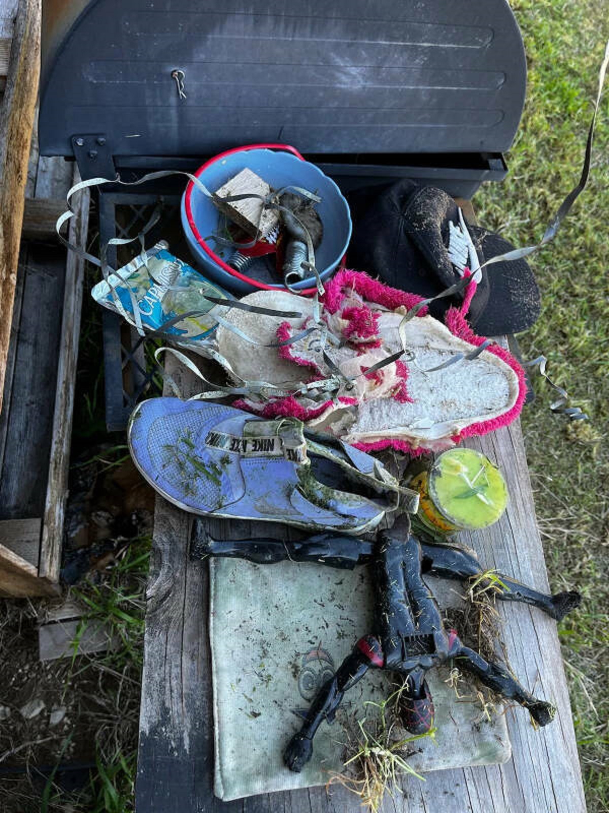 “All the stuff my neighbor’s kids threw over the fence for me to mow over.”