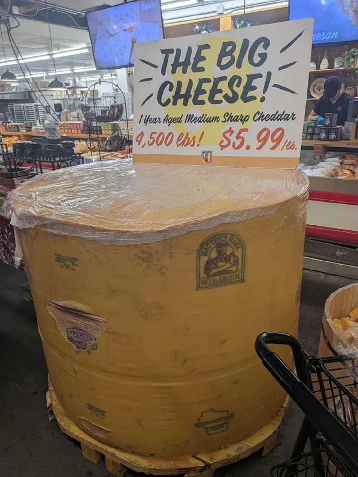 table - The Big Cheese! 1 Year Aged Medium Sharp Cheddar 4,500 lbs! $5.99 esan