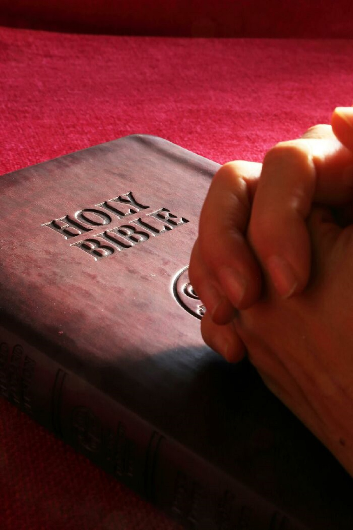 beautiful holy bible - Holy Bible