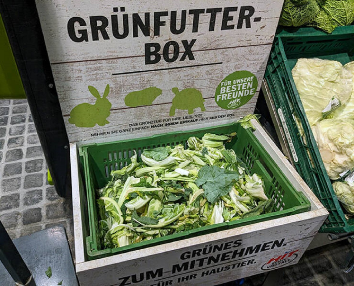 "This Local Shop Gives Old Vegetables For Free So You Can Feed Your Pets"