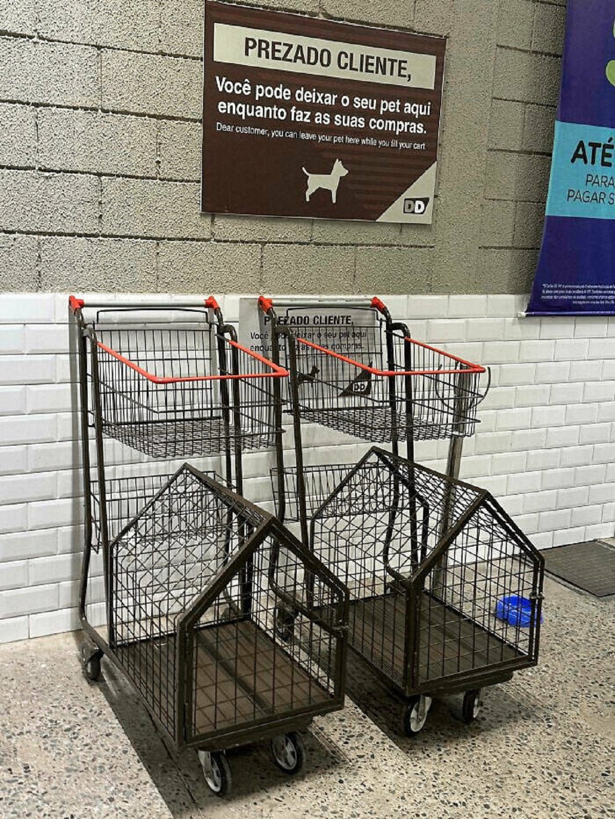 "These Shopping Carts Have A Compartment For Pets"