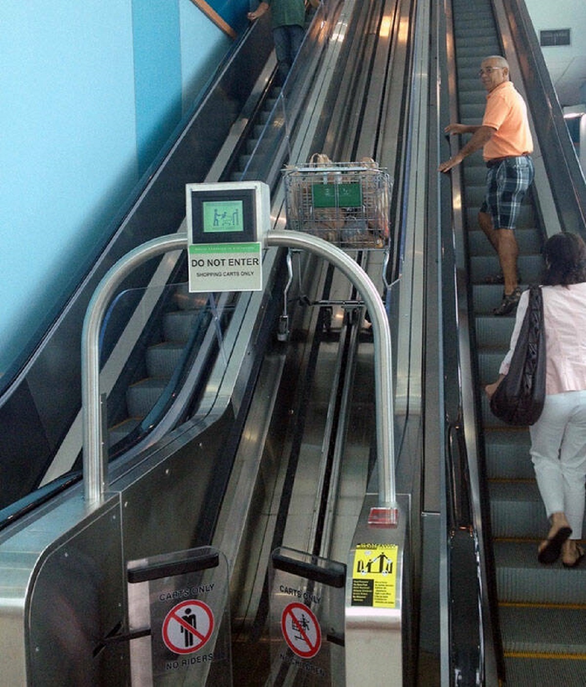 "The Grocery Store I Went To Earlier Had A Special Escalator For Your Shopping Carts"