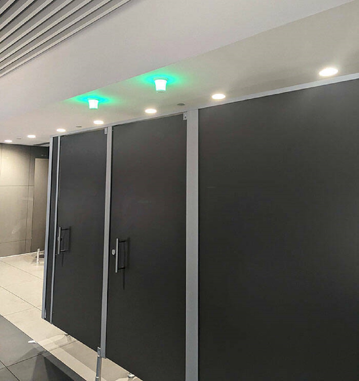 "The Stalls At This Airport Have Green/Red Lights To Indicate If They're In Use Or Not"